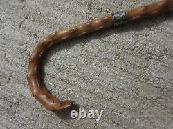 ANTIQUE 1800s THORN WOOD ENGLISH CANE from Birmingham, ENGLAND