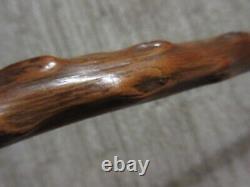 ANTIQUE 1800s THORN WOOD ENGLISH CANE from Birmingham, ENGLAND