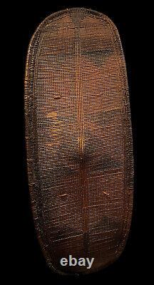 An Genuine Antique African Fiber Shield From The Poto/Doko Tribe (Congo)