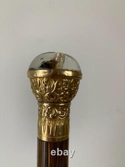 Antique Dog head walking cane with 18k gold decoration from the early 1900s