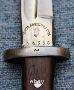 Argentine Knife From Modified M1891 Argentine Bayonet Army Navy Combat Knife