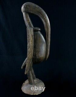 Art African tribal Antique Hornbill Bird Senoufo Senufo Hornbill 56 CMS