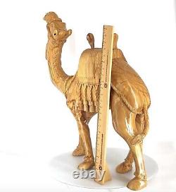 Camel Masterpiece Carving, 26 Tall, Large Olive Wood from Holy Land