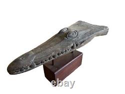 Crocodile Canoe Prow From Sepik River In Papua New Guinea Antique