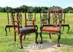 GREAT Set 6 Antique Chippendale SOLID MAHOGANY Dining Chairs c1900 from Wales