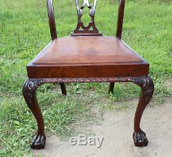 GREAT Set 6 Antique Chippendale SOLID MAHOGANY Dining Chairs c1900 from Wales