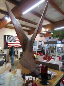 Hand Carved EAGLE Thuya Burl Wood From Spain. 63'' x 36'