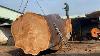 How A Giant Wood Factory Operates A Thousand Year Old Tree Cutting Machine At Full Capacity