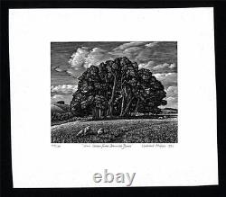Howard Phipps Pencil Signed Wood Engraving Win Green from Berwick Down 1993