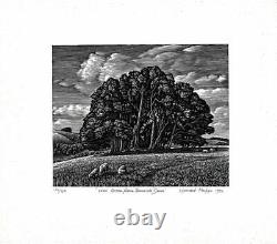 Howard Phipps Pencil Signed Wood Engraving Win Green from Berwick Down 1993