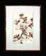 Kawarazaki Shodo Cherry Blossom Sakura Original Wood Block Print Art From Japan
