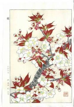 Kawarazaki Shodo Cherry Blossom Sakura Original Wood Block Print Art from Japan