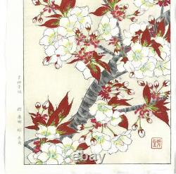 Kawarazaki Shodo Cherry Blossom Sakura Original Wood Block Print Art from Japan