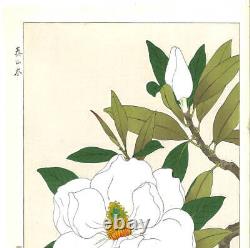 Kawarazaki Shodo Magnolia grandiflora from Japan Original Wood Block Print Art