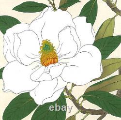 Kawarazaki Shodo Magnolia grandiflora from Japan Original Wood Block Print Art