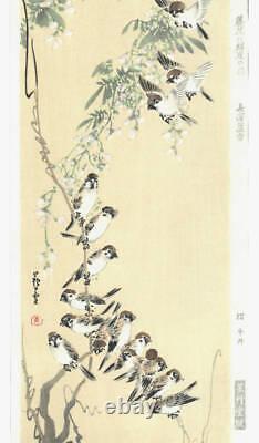Nagasawa Rosetsu Wisteria Birds Original Wood Block Print Art from Japan