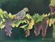 Original Oil Painting Dove Bird Vineyard Garden Art Listed By Artist Artettina