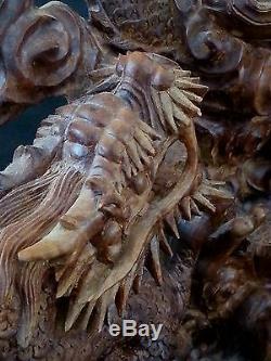 Outstanding Chinese carved Dragon sculpture from natural burlwood root formation
