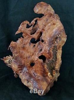 Outstanding Chinese carved Dragon sculpture from natural burlwood root formation