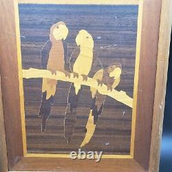 Parrots on Branch Marquetry Orig. Art from Jeff Nelson New York 1986 Wood Inlay