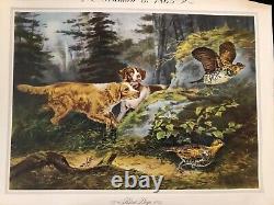 Paul Wood Original Antique Print Of Bird Dogs From A Book Founded In 1865