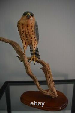 Sharp Shinned Hawk wood carving (Original power carved from Tupelo)