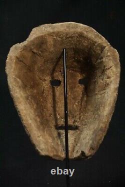 Small mask made from bamboo root Atoni -Timor tribal ethnograhic