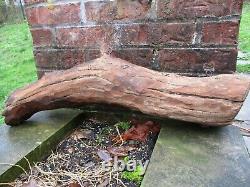 Stunning Primitive Folk Art Horse Head Carving from Chestnut wood Dated 1914