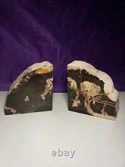THE MAGICIANS TV SERIES PROP Petrified Wood Bookends From Lot # 1421