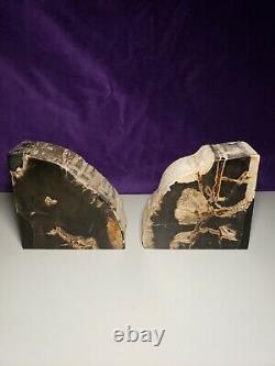 THE MAGICIANS TV SERIES PROP Petrified Wood Bookends From Lot # 1421