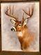 Ten Point Canvas Painting & Artist Built Frame From (old Barn Wood)
