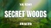 Tony Ozborn Secret Woods Original Mix