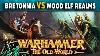 Wood Elf Realms Vs Kingdom Of Bretonnia Warhammer The Old World Battle Report