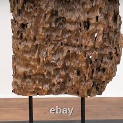 Wood Sculpture Crafted from Organic Molave Root, Philippines