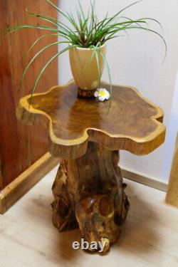 Wood Side Table Tree Pane Teakwood Table Root Wood Rustic Living Room New
